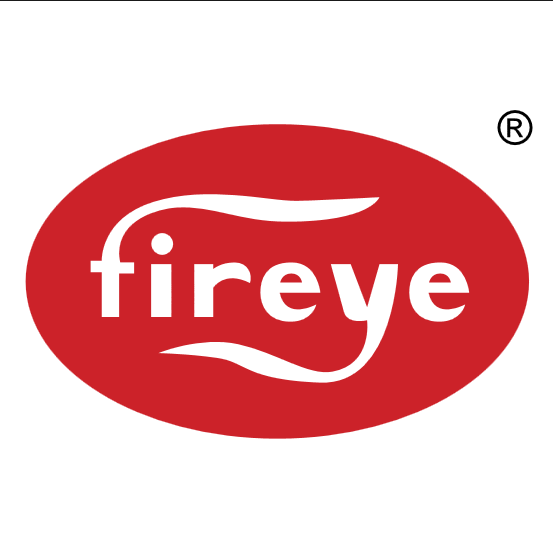 Fireye BLD500 Blank display module for BurnerLogix