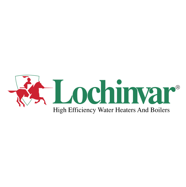 Lochinvar 100208504 24V Relay