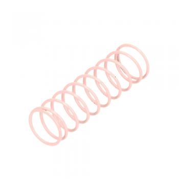 Maxitrol R8110-38 Pink Spring for RV81 & 210D Regulators